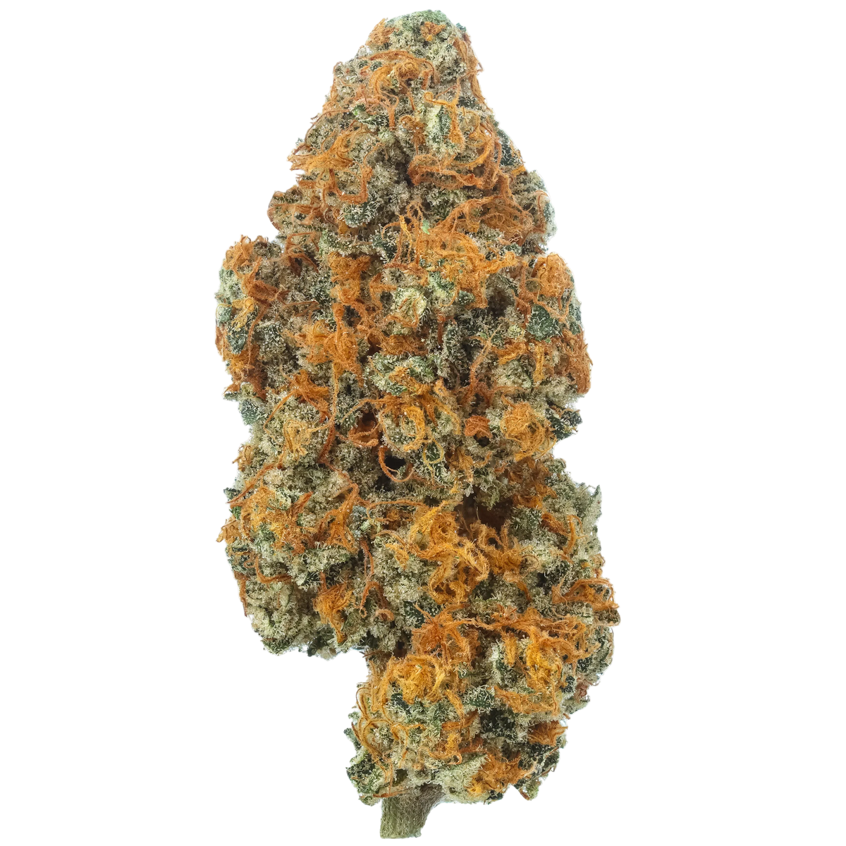 Maracuya